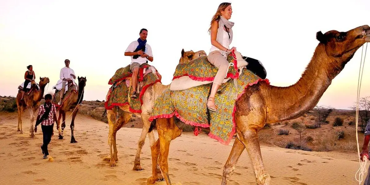 camel-safari-sam-desert-camp